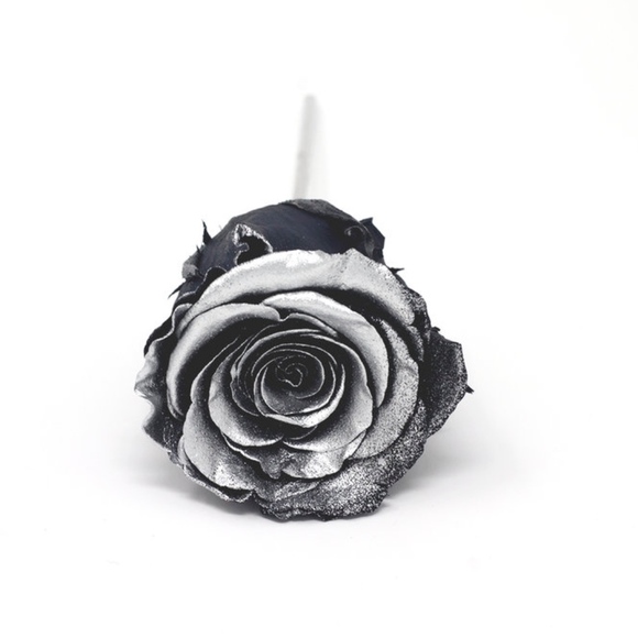 Chrome Dipped Rose Box - Picture 3 of 8